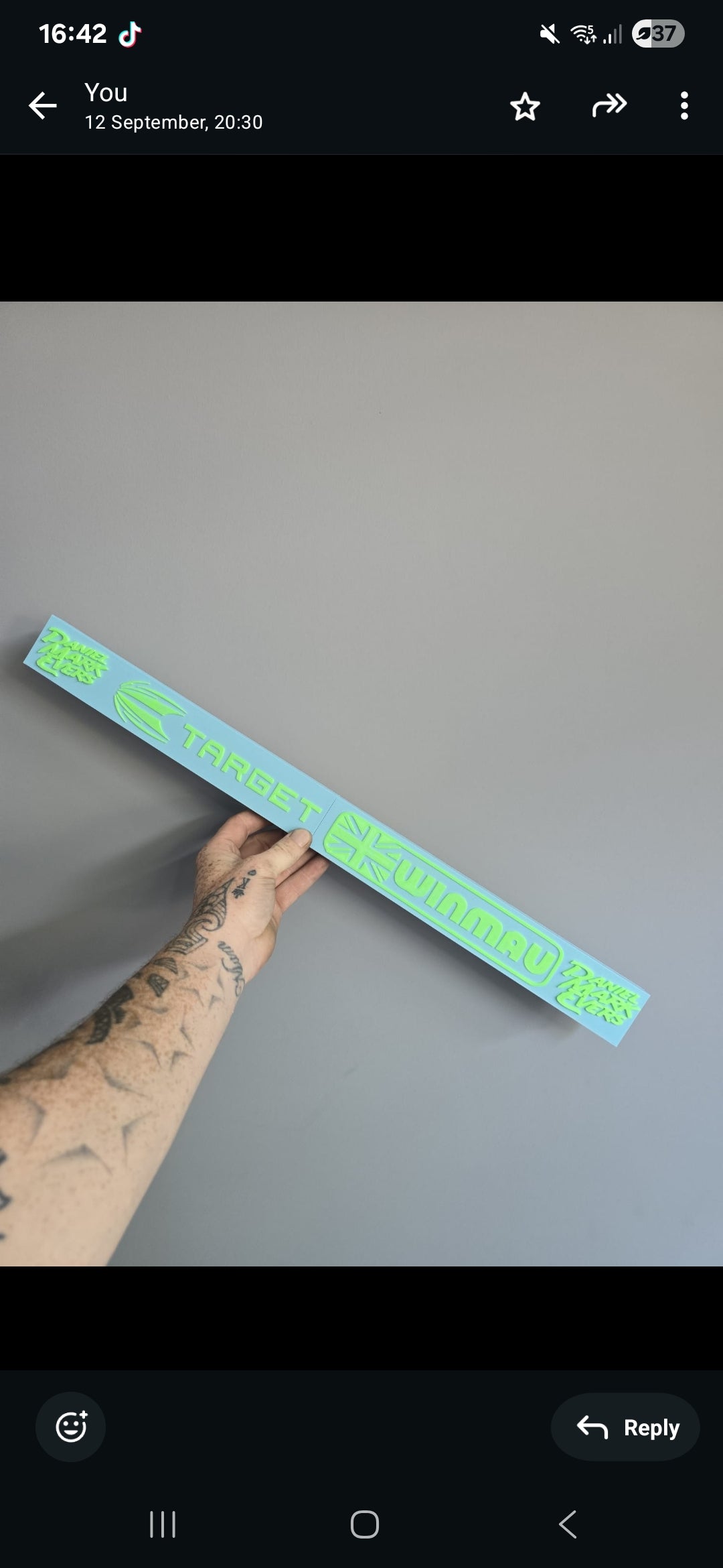 Custom 3D printed Oche's - 2 piece that clip together