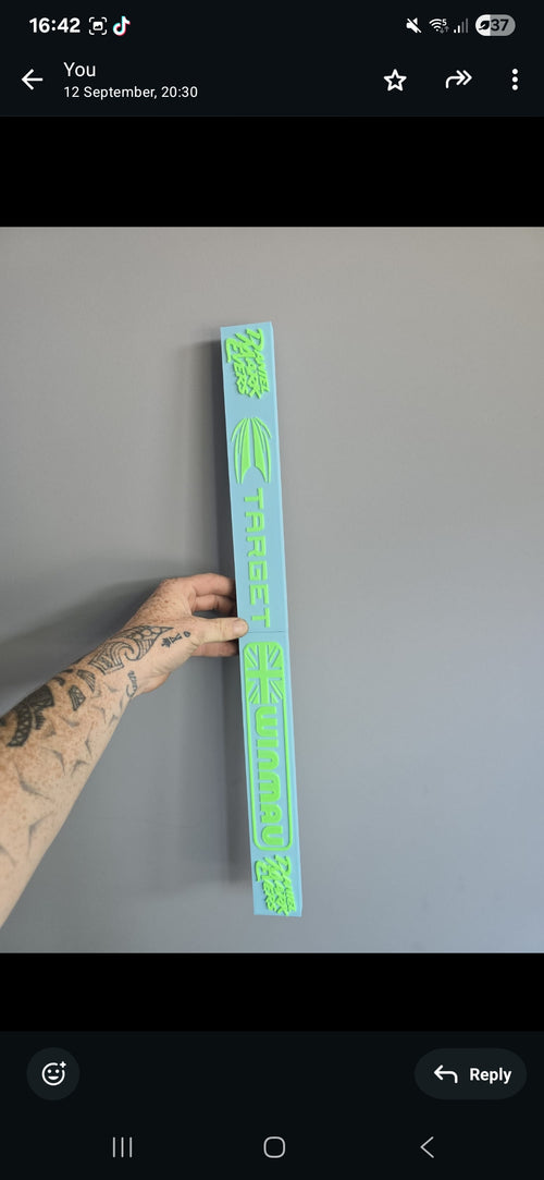 Custom 3D printed Oche's - 2 piece that clip together